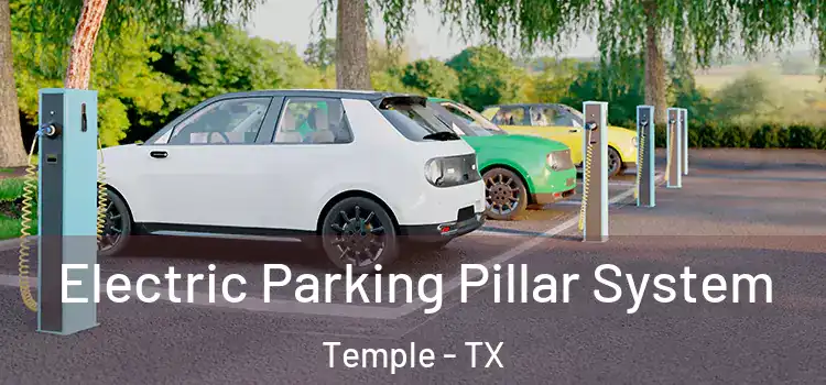 Electric Parking Pillar System Temple - TX